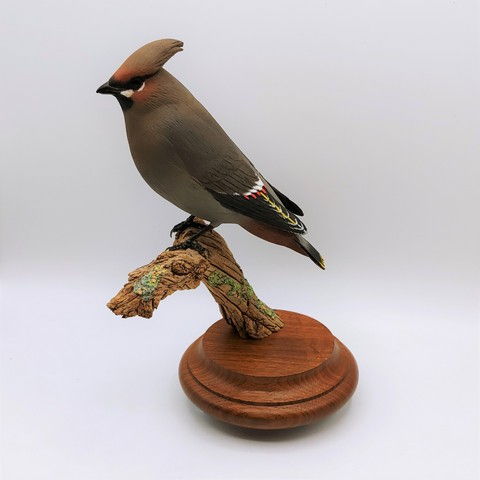 Bohemian Waxwing Reduced $1100 at Hunter Wolff Gallery